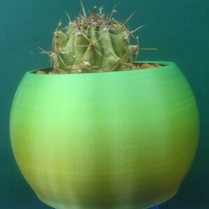 Classic Round Flower Pot